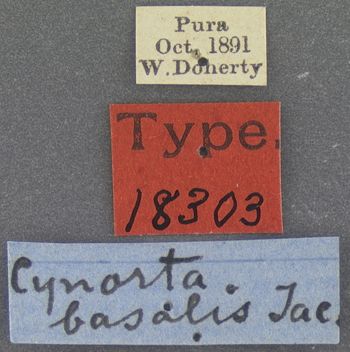 Media type: image; Entomology 18303   Aspect: labels